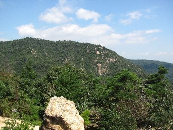 IMG_6739
