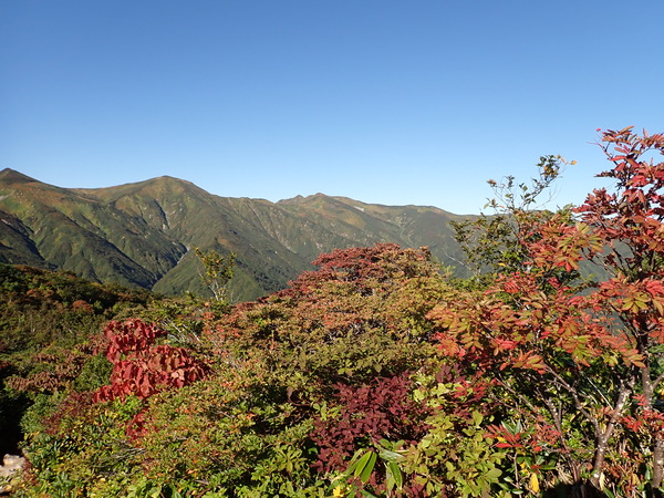 P9190038