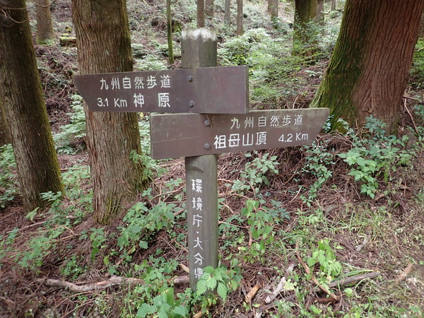 P9040709