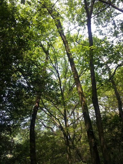 20140712_101707