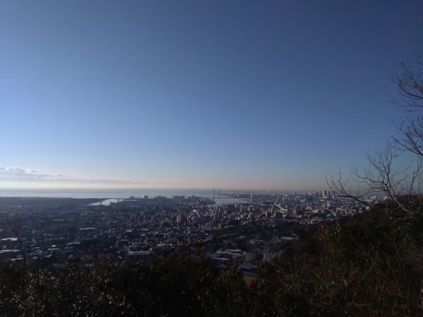 P_20190114_081737