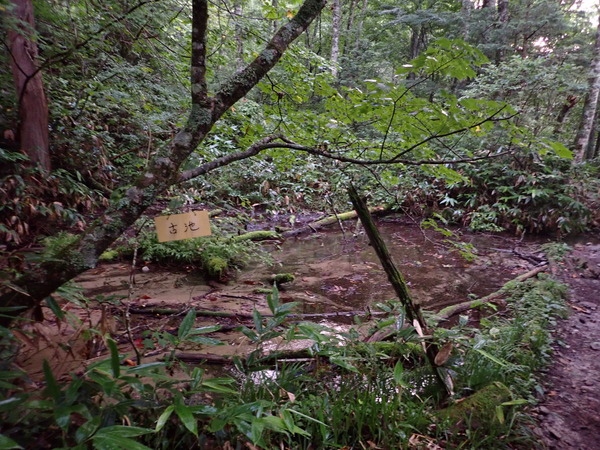 P9040015