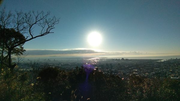 P_20190114_081641