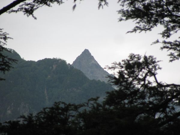 IMG_0102-1