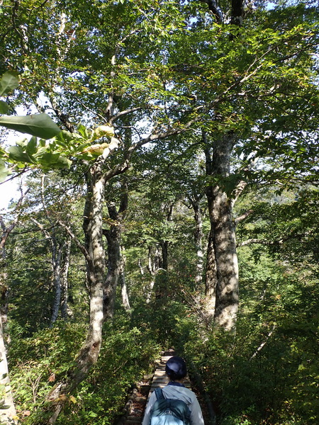 PA020098