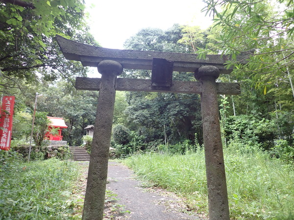 P9050768