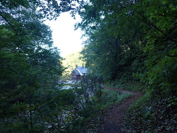 P9190236