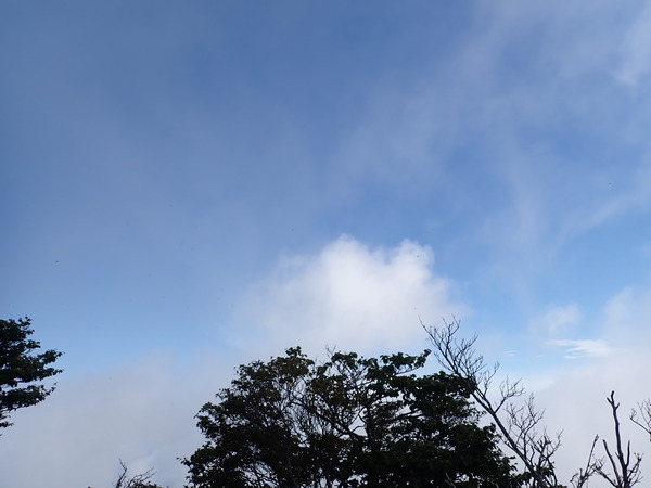 P9040670