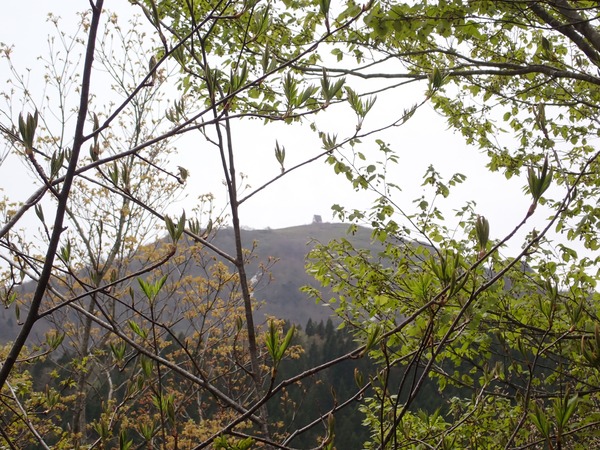 P5081539