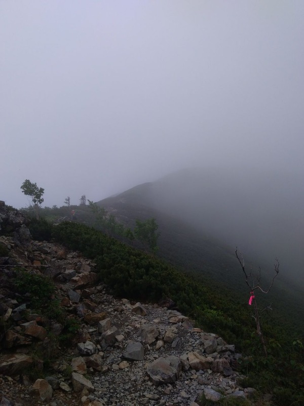 P_20190727_075834