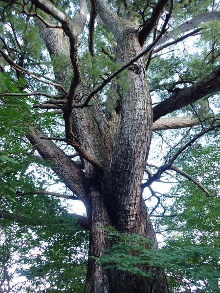 P9190016