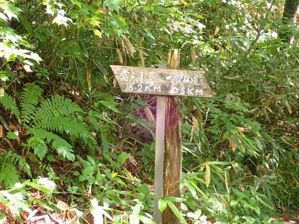 P9050371