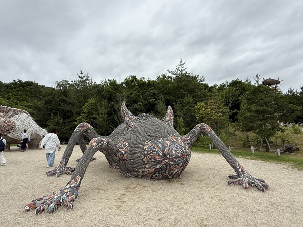 IMG_9472