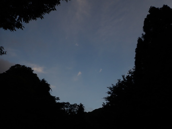 P9040596