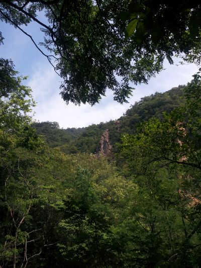 20140712_103317