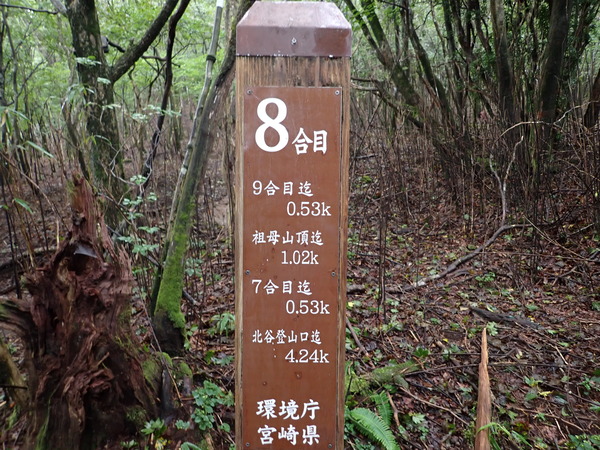P9040636