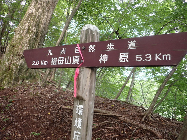 P9040617