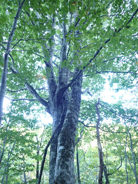 P9190230