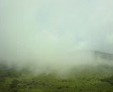 山は霧の中