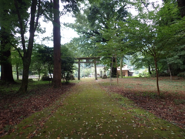 P9030545