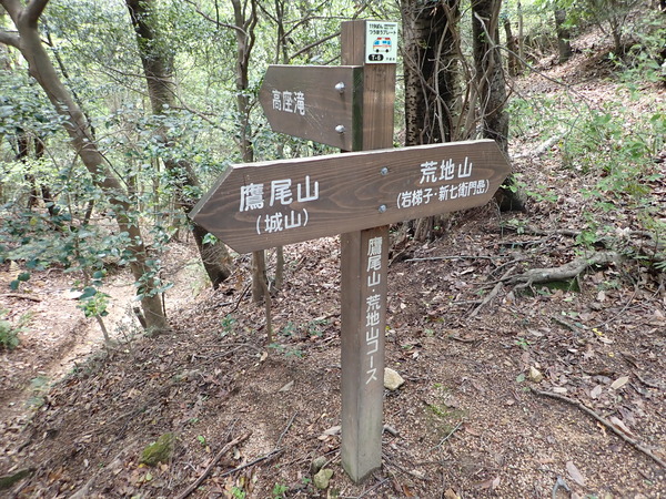 P4300489