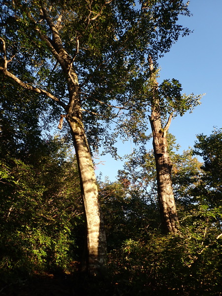 P9190025
