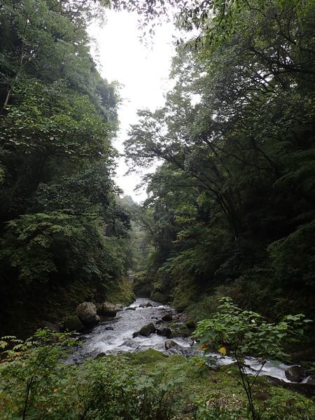 P9030395