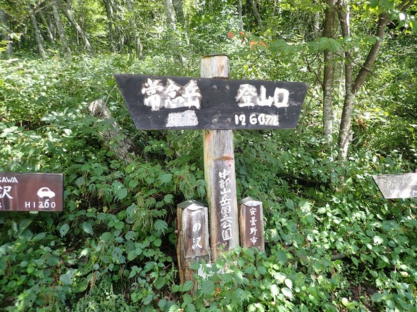 P9050374