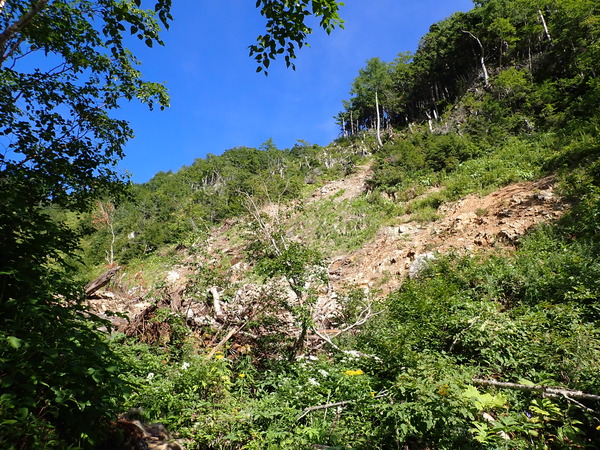 P9040045