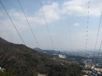 IMG_1378