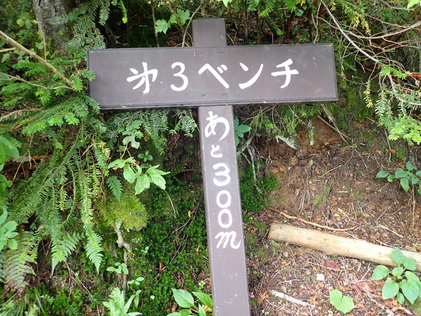 P9040070