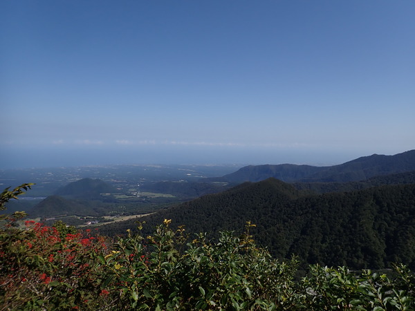 PA020029
