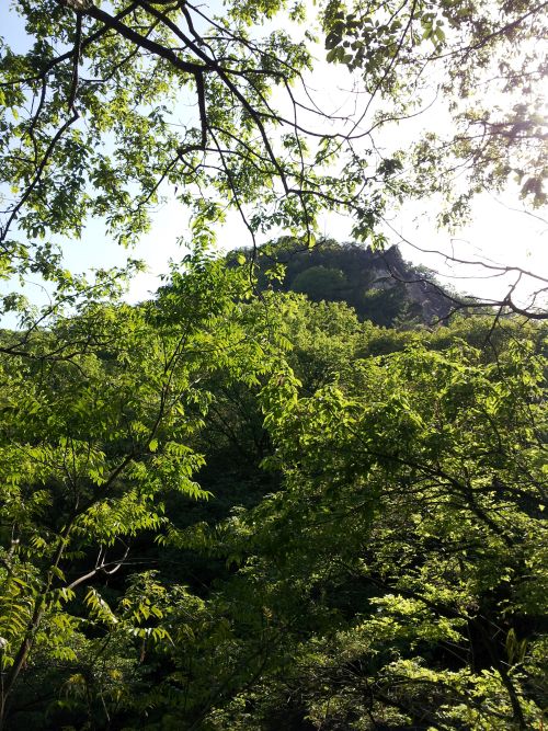 20140504_155933