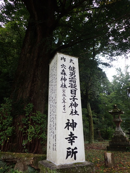 P9030542