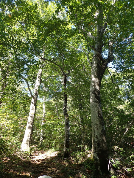 P9190222