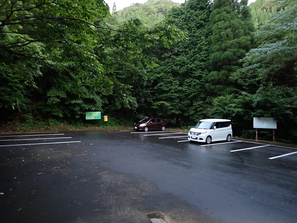 P9040594