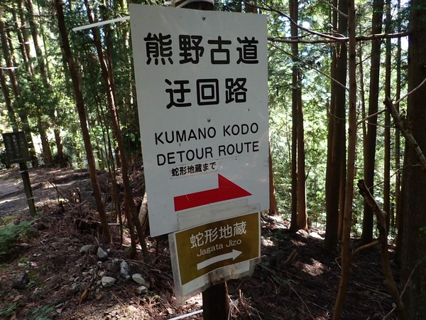 OI000419