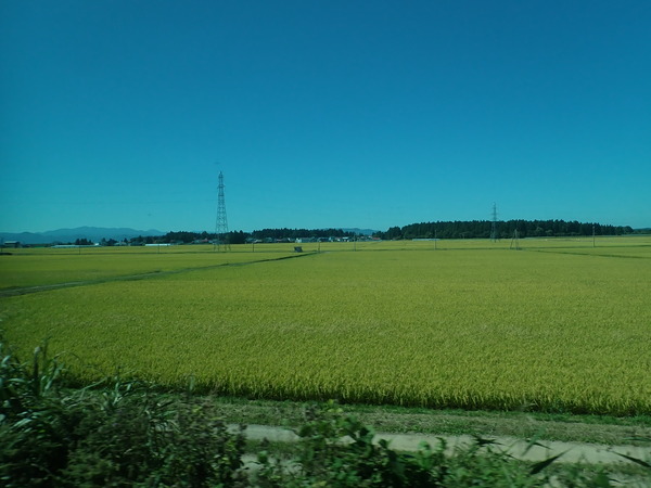 P9210377