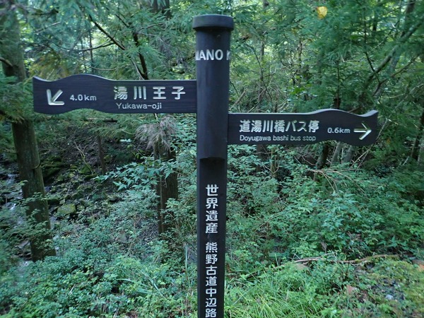 OI000404