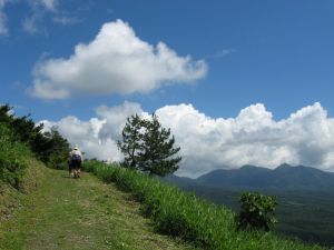 歩きやすい登山道