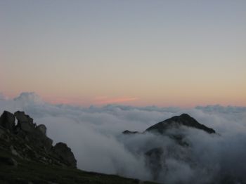 IMG_7556
