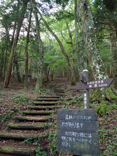 P9040609