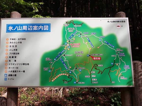 3-P5081500