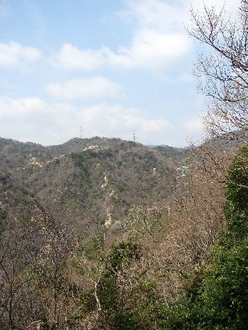 IMG_1377