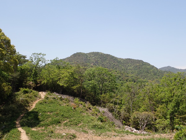 P4300487