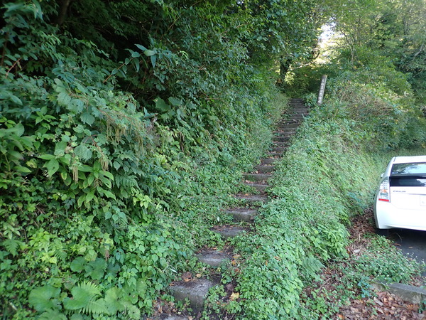 PA020003