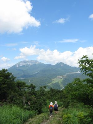大山を正面に下山
