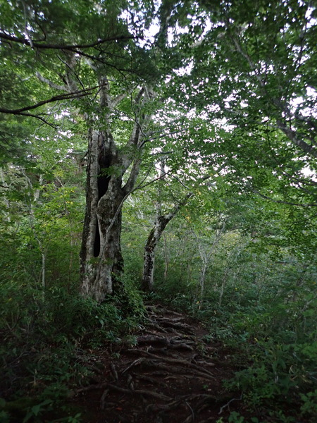 P9190014
