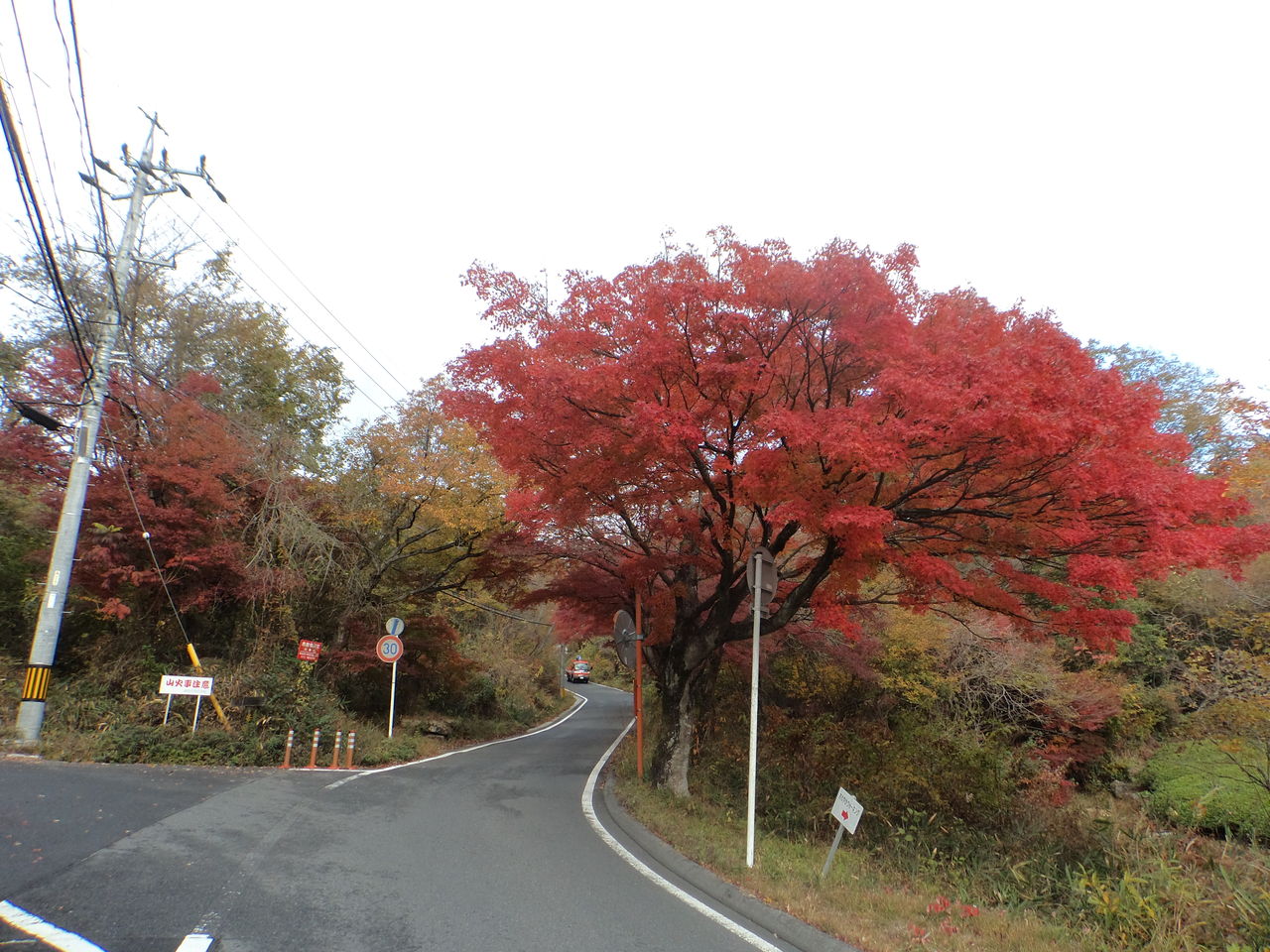 中山道 6 あな 恐ろしや 中山道かえで街道 恵那 彦根約140キロ E S Freewheeling Life