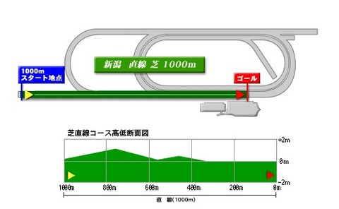 niigata_turf_1000